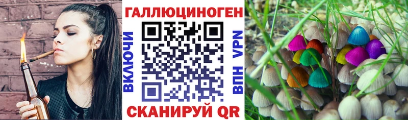 Псилоцибиновые грибы Psilocybe  Купить  Минусинск 